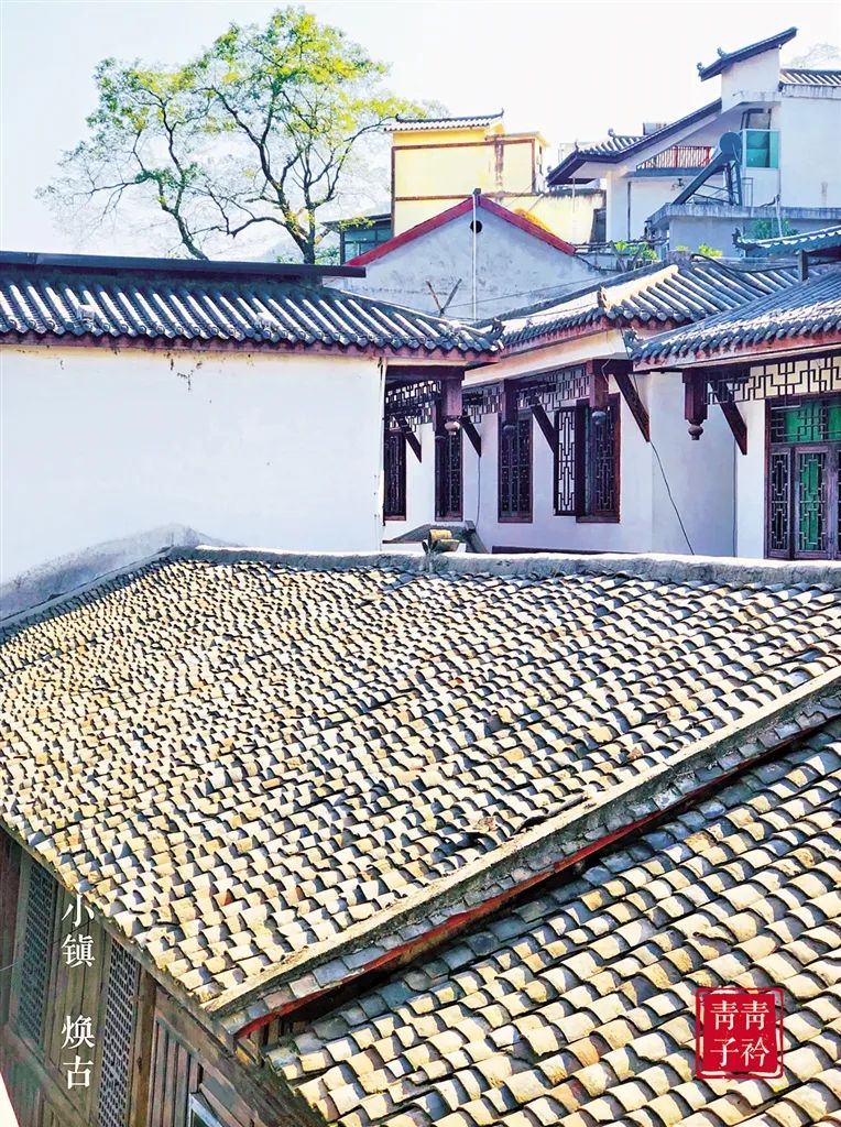 紫阳富硒茶门头设计