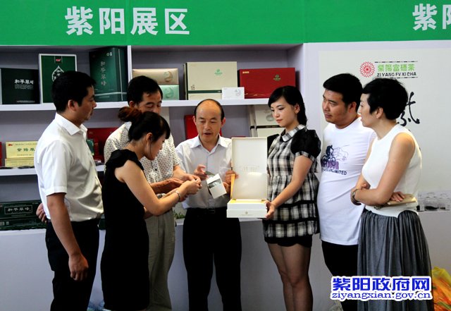 紫阳富硒茶发展历程