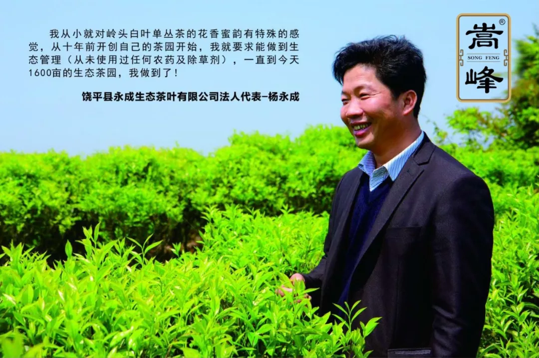 富硒单丛茶是什么茶