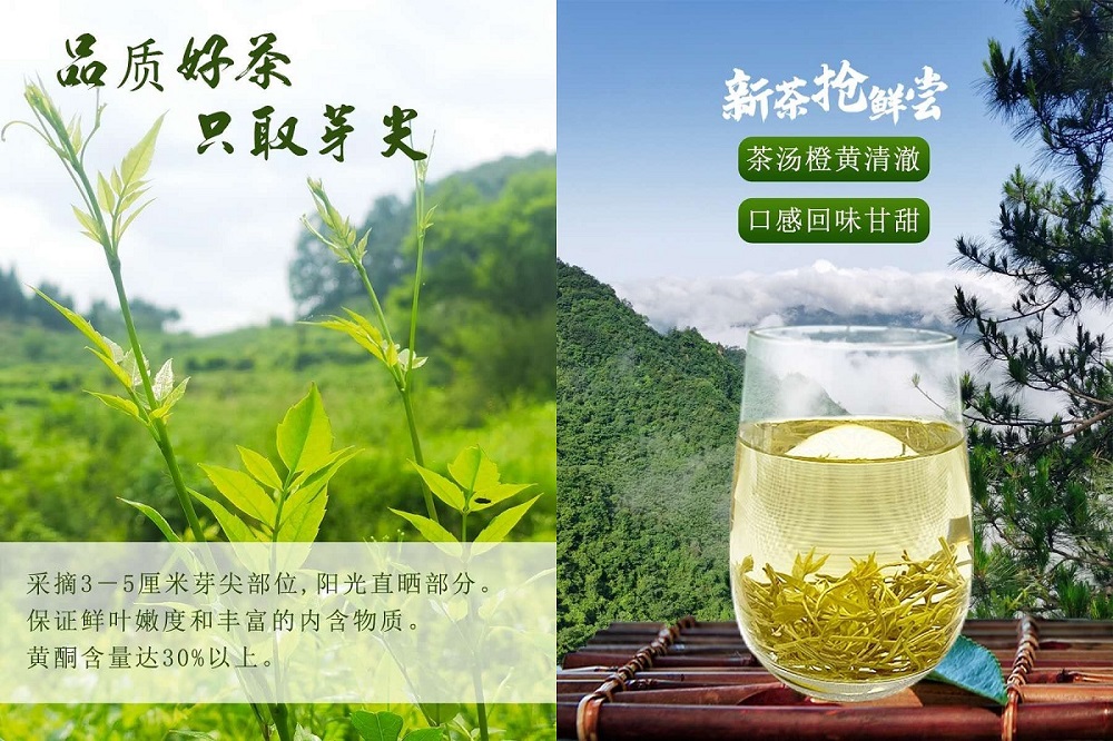 云雾问茶思施富硒茶