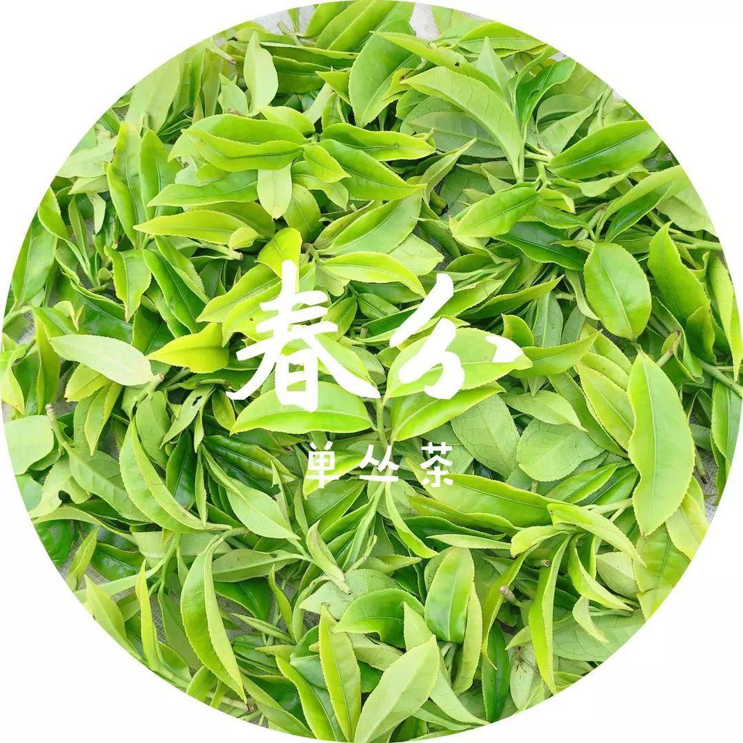 富硒单丛茶是什么茶