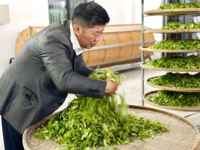 富硒单丛茶是什么茶
