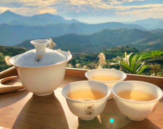 富硒单丛茶是什么茶