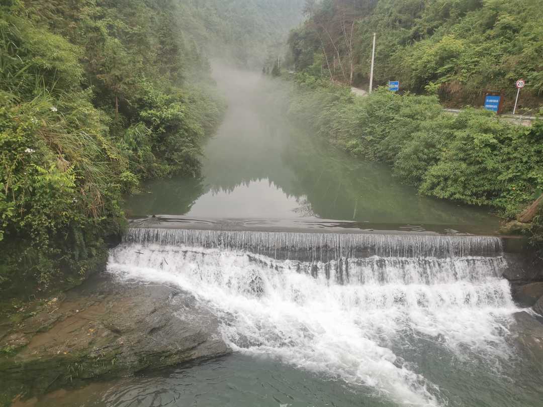 富硒藤茶和莓茶区别
