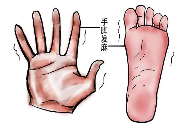 老人需要补钙吗