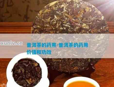 本普洱茶生茶-普茶的功效价钱