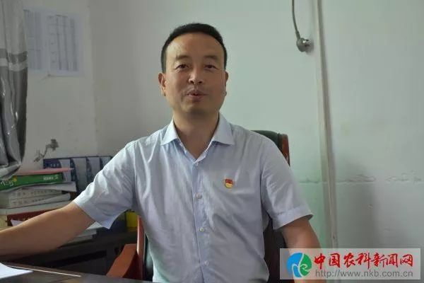 京康富硒茶是什么茶