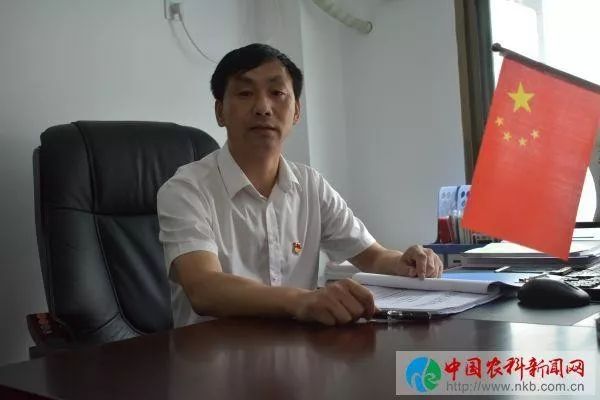 京康富硒茶是什么茶