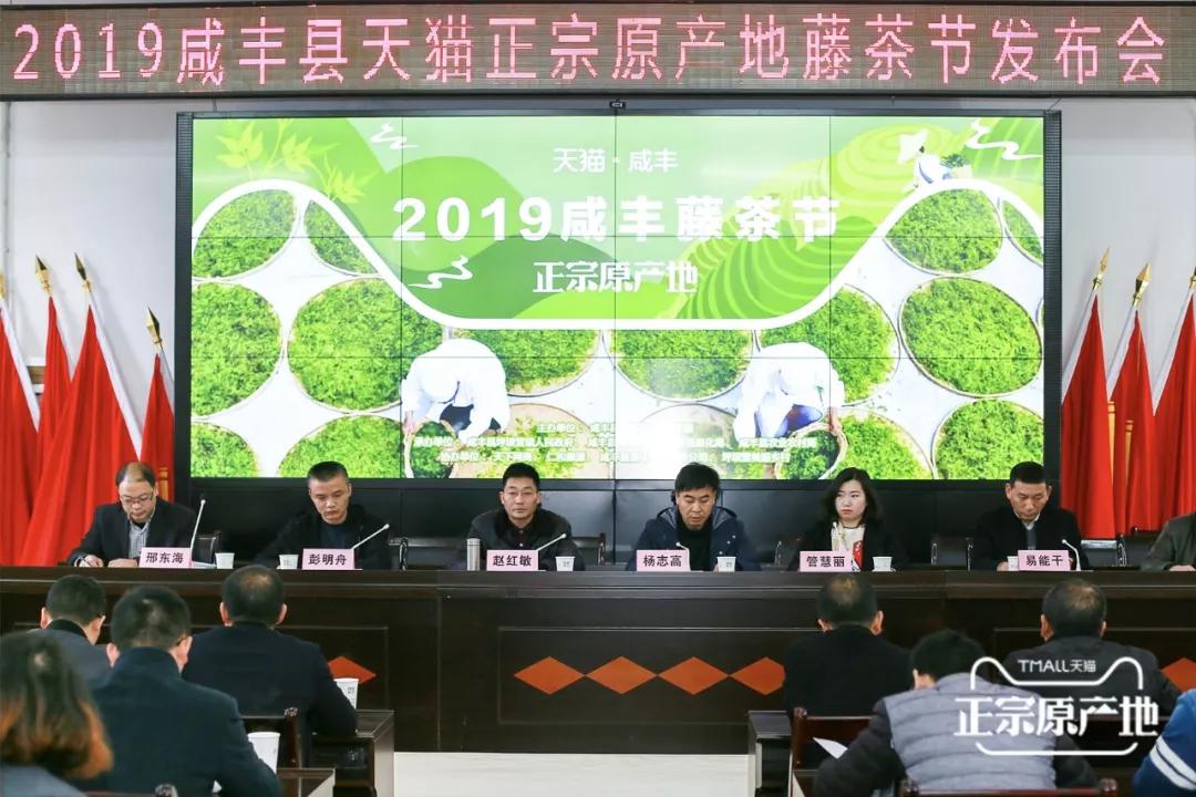养生茶恩施富硒藤茶