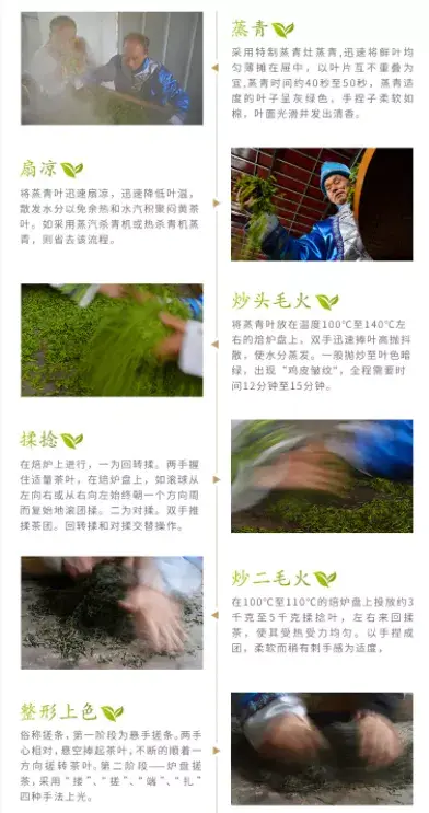 富硒藤茶就是藤茶吗