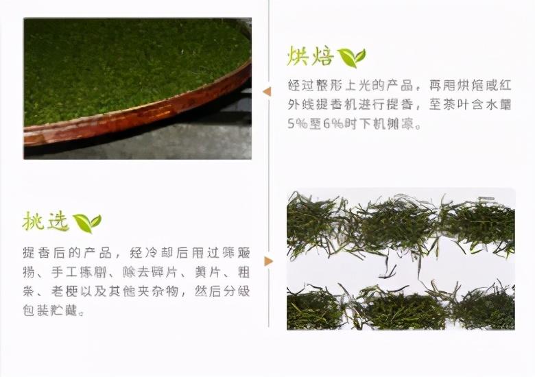 富硒藤茶就是藤茶吗