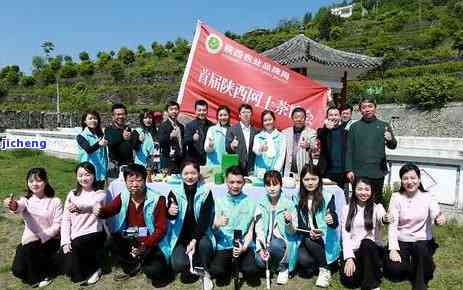 富硒茶是什么茶？详解恩、紫阳富硒茶的区别与特点