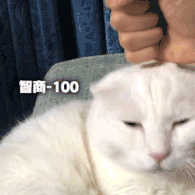 孕妇补铁过量的症状