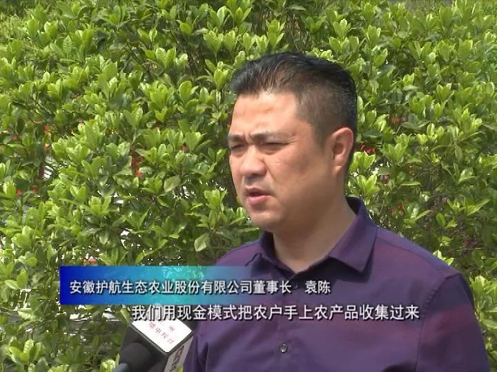 助农安徽石台富硒茶