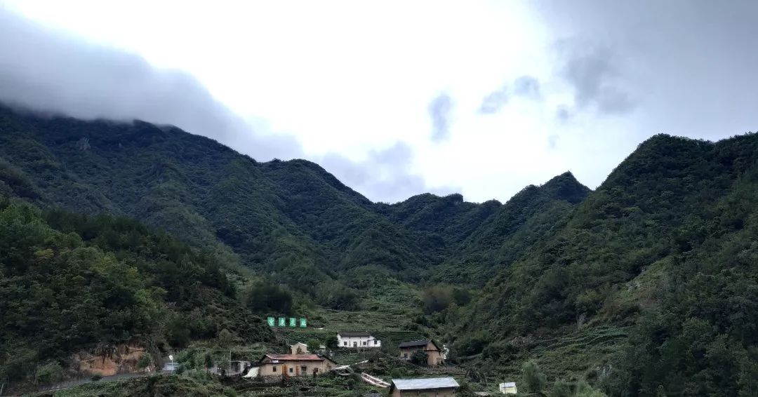 汉滨区马泥春富硒茶