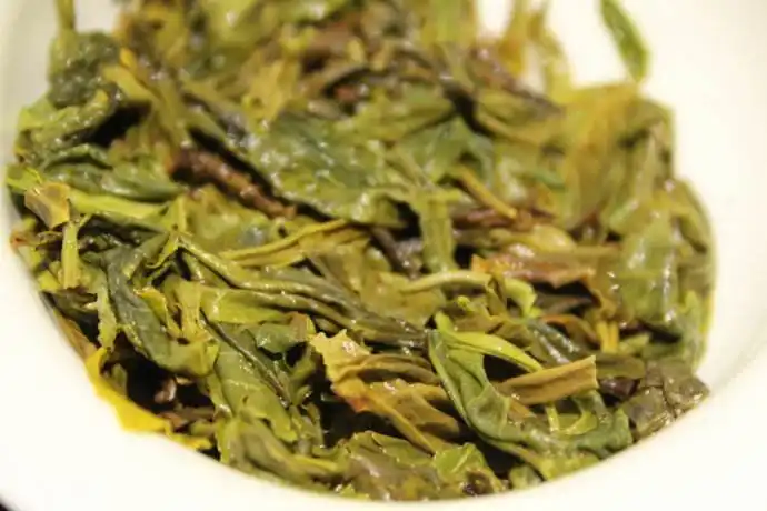 富硒毛尖是什么茶种