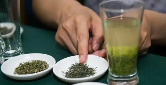 富硒毛尖是什么茶种