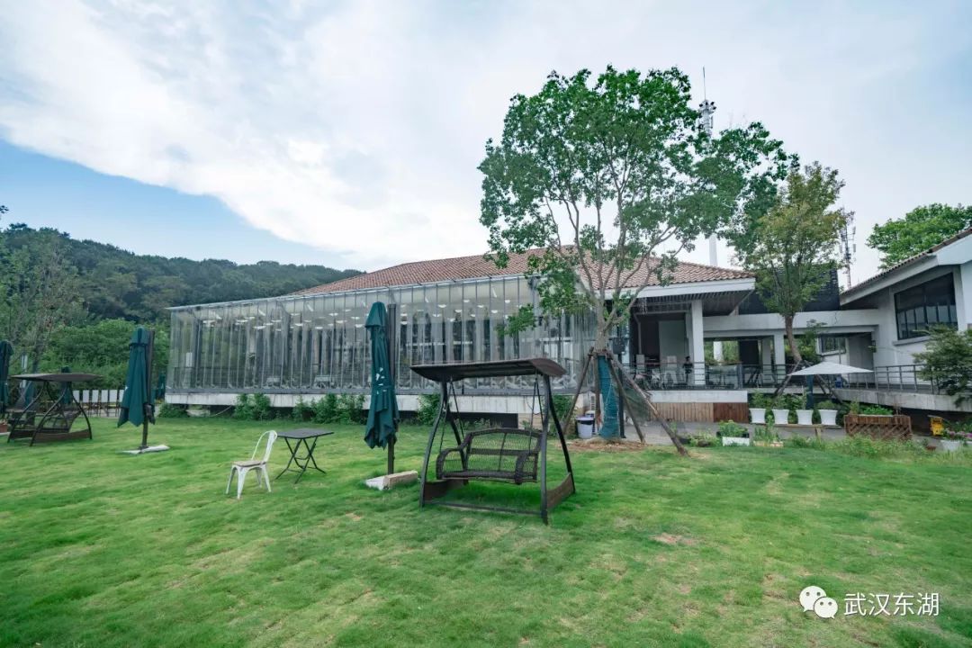 石台富硒茶如何泡制
