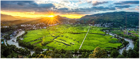 富硒茶生态产业基地