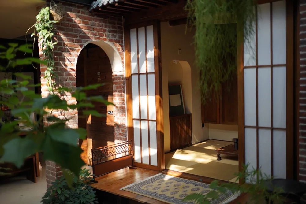 福建富硒普洱茶批发