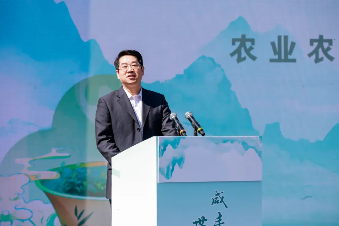 安徽富硒茶玉露地址