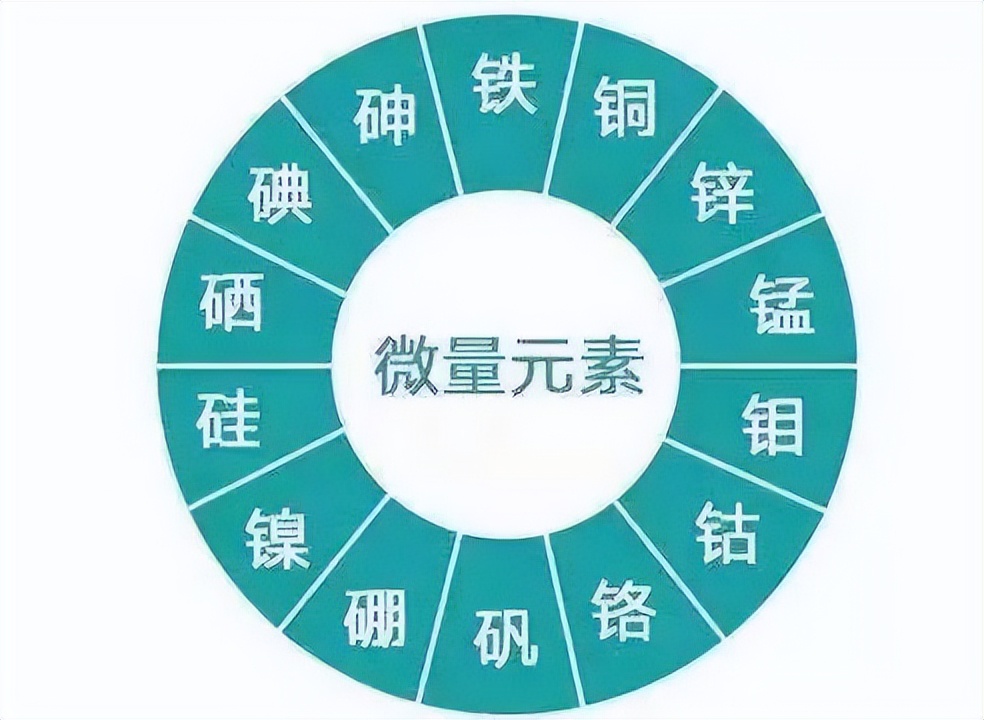大人可以查微量元素吗