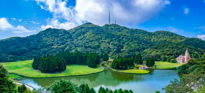 广西大藤峡 富硒茶