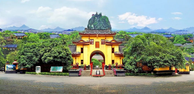 广西大藤峡 富硒茶