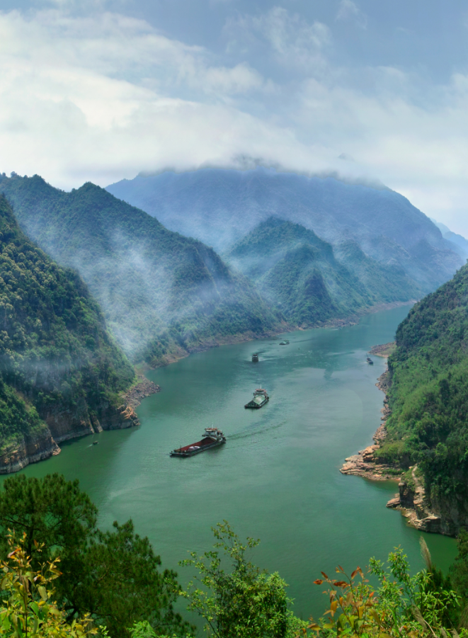 广西大藤峡 富硒茶