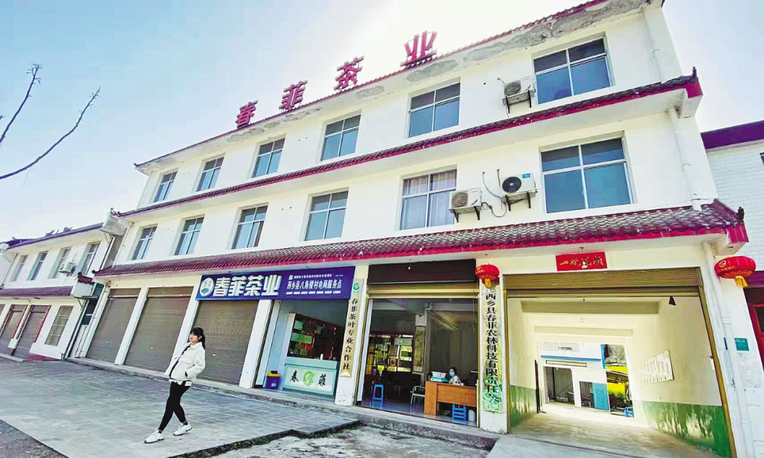 富硒茶 天热无污染