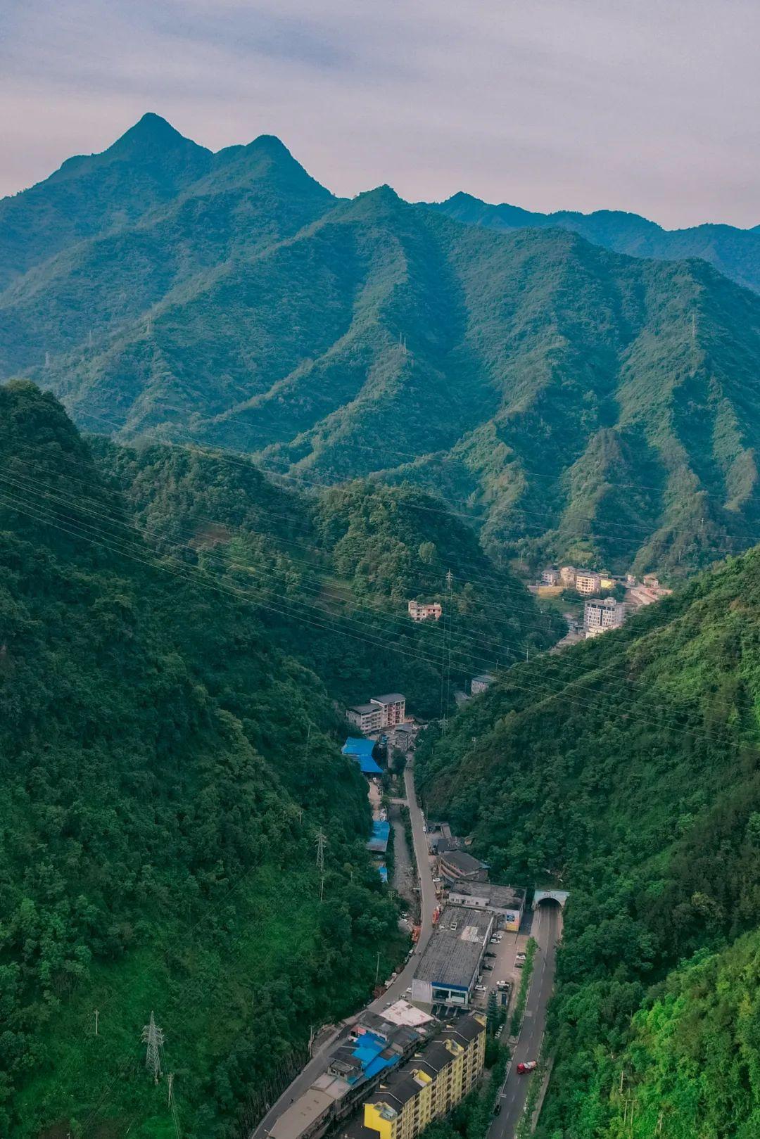 重庆城口富硒茶产地