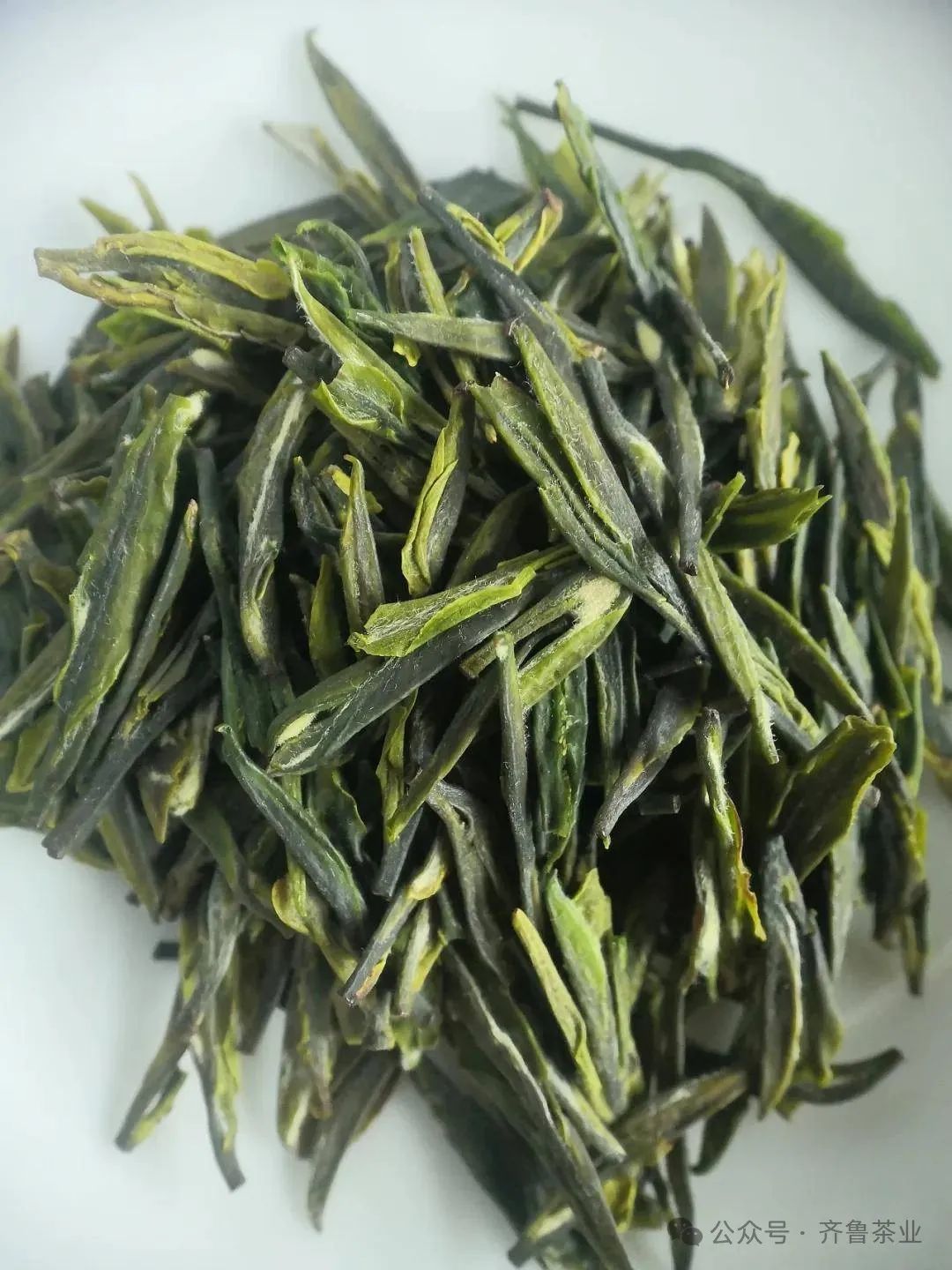 安徽富硒茶玉露地址