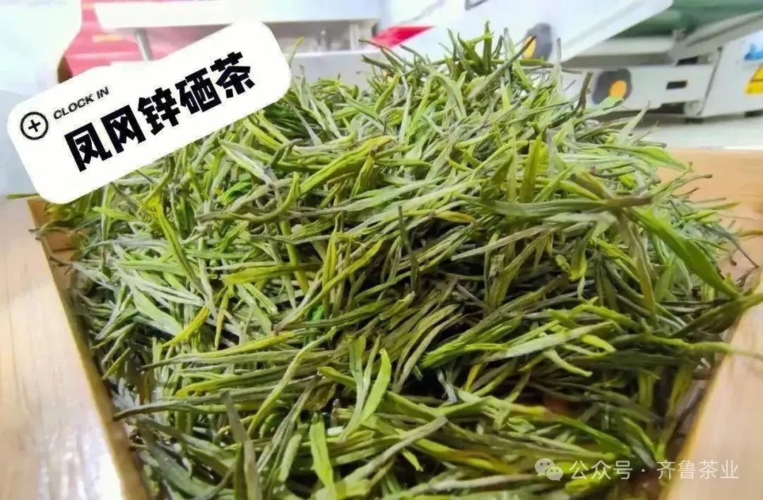 安徽富硒茶玉露地址