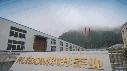 恩施玉露润帮富硒茶