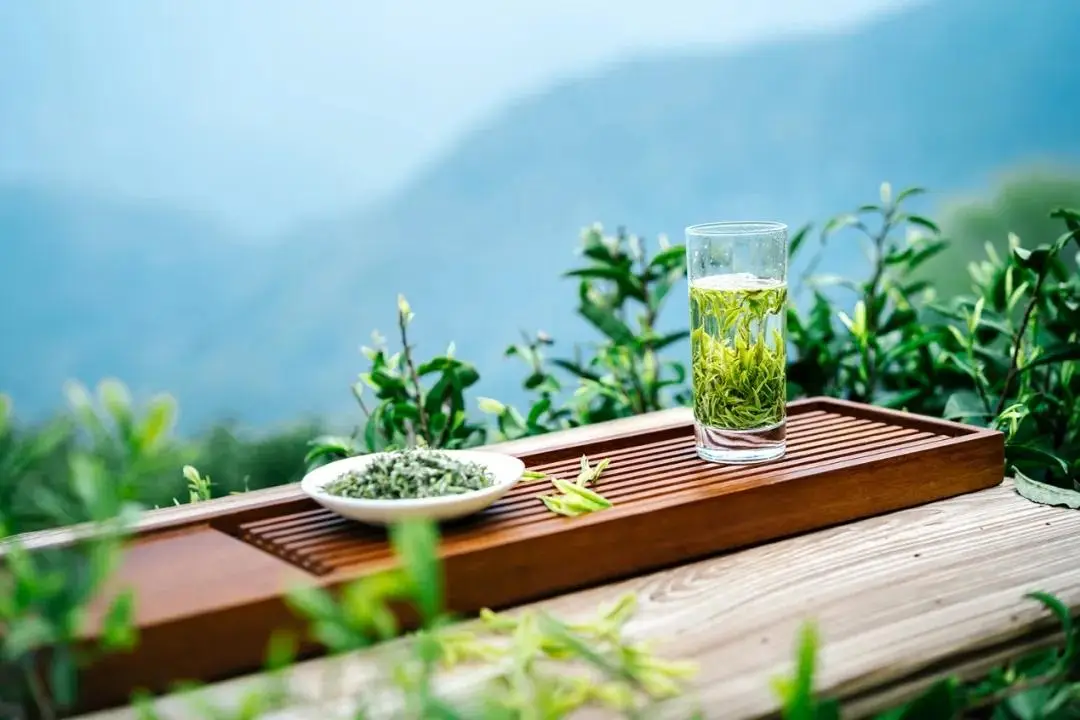 巴山雀舌富硒茶广告