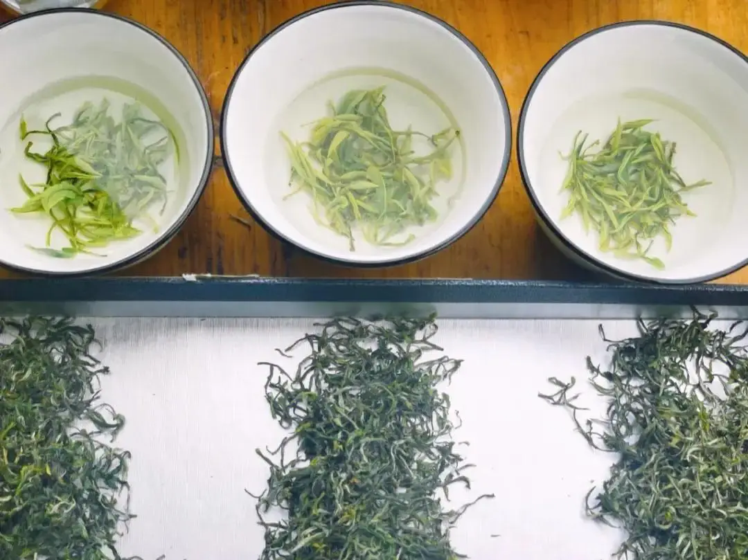 巴山雀舌富硒茶广告