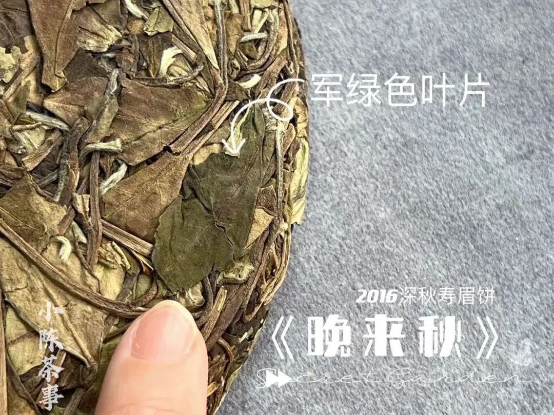 富硒茶喝了会上火吗