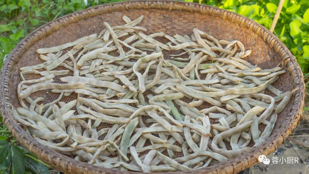 什么蔬菜能补钙