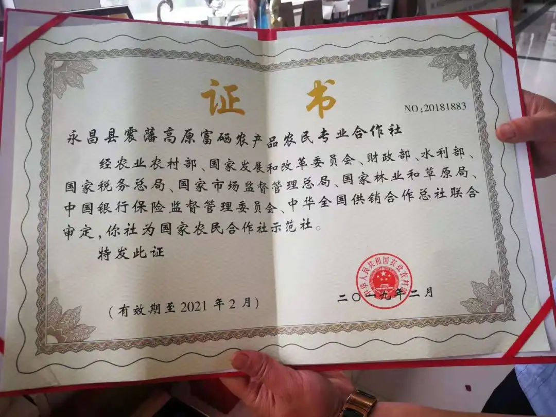 富硒大麦茶 焦家庄