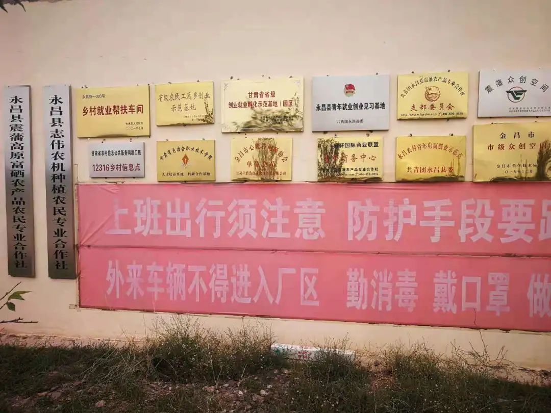 富硒大麦茶 焦家庄