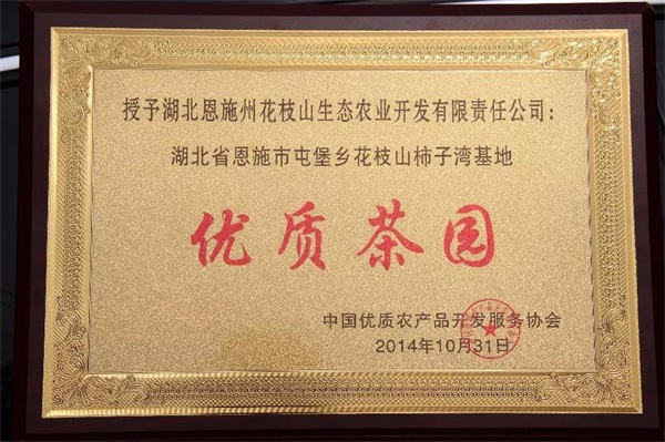 恩施富硒茶网上商城