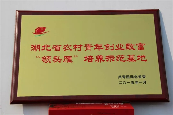 恩施富硒茶网上商城