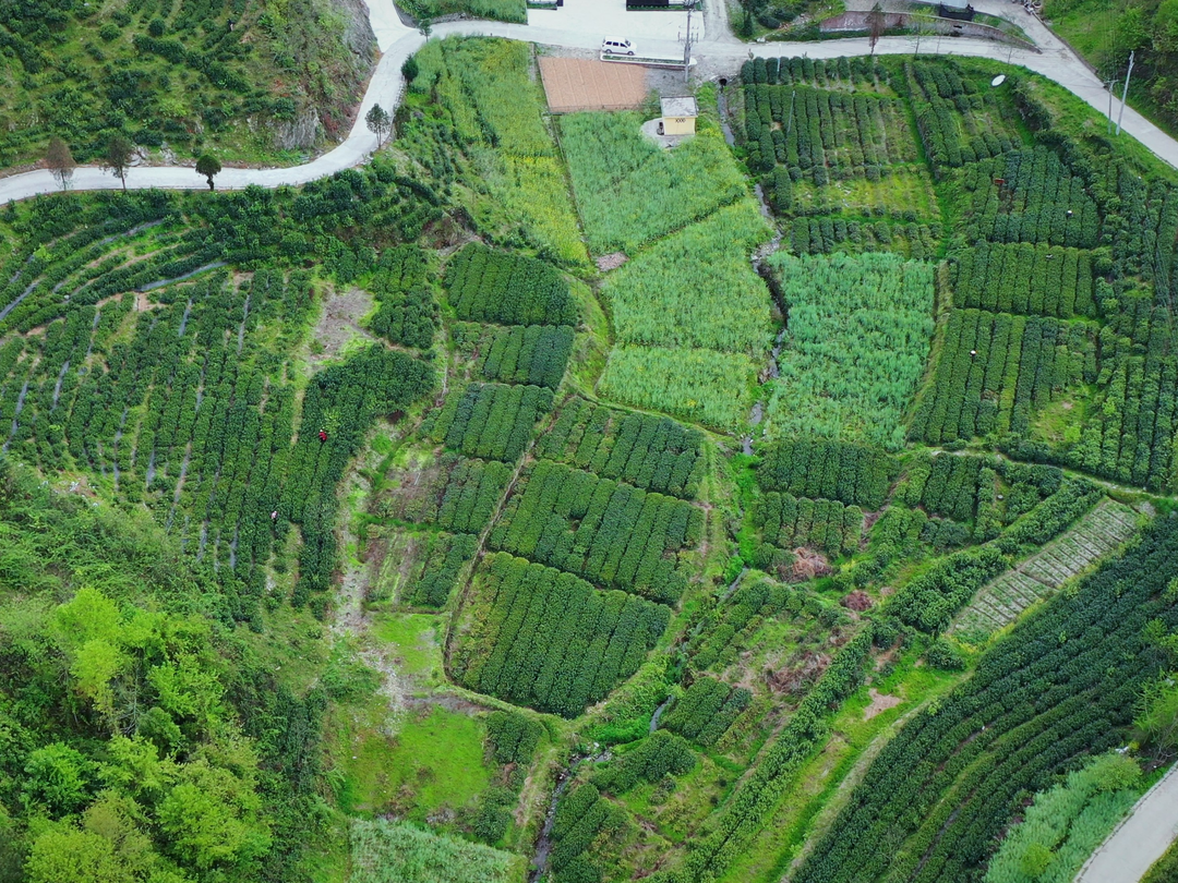富硒茶对顾客的要求