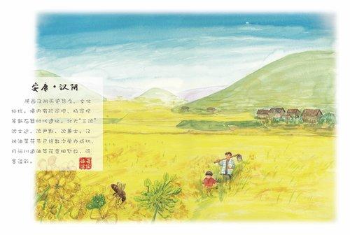 紫阳富硒茶的简笔画