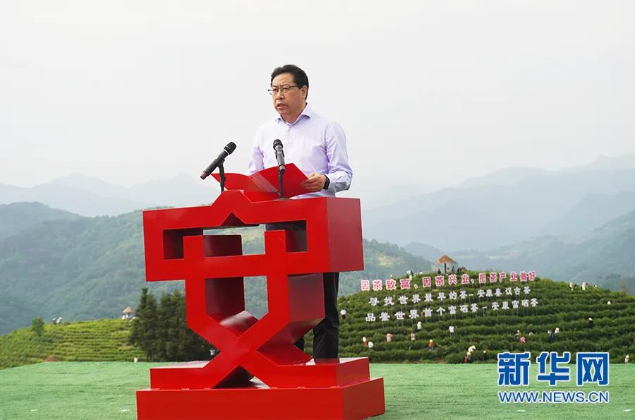 安康富硒茶哪里产的