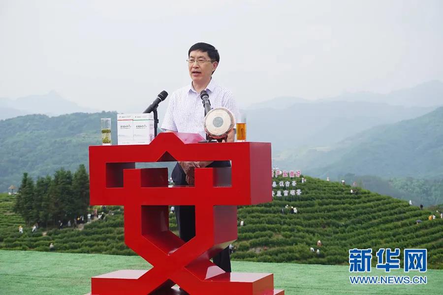 安康富硒茶哪里产的