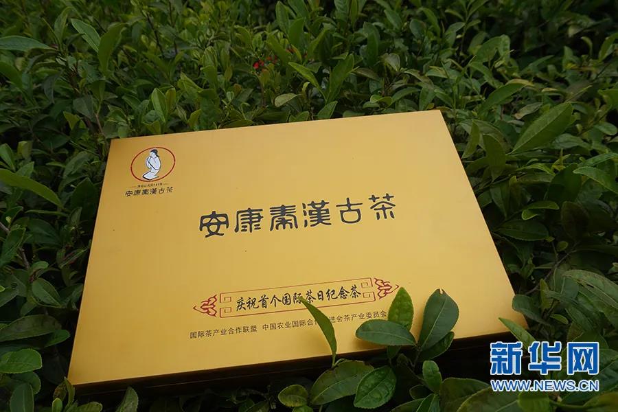 安康富硒茶哪里产的