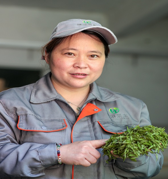 紫阳富硒茶好的品牌