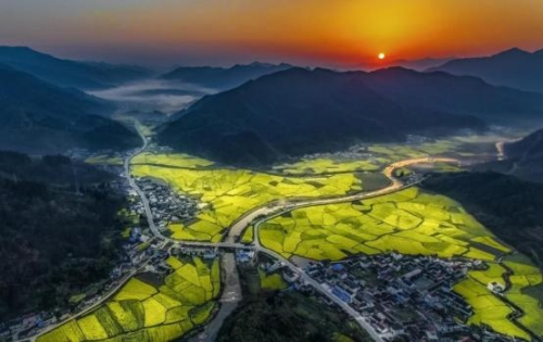 和天下52度富硒茶