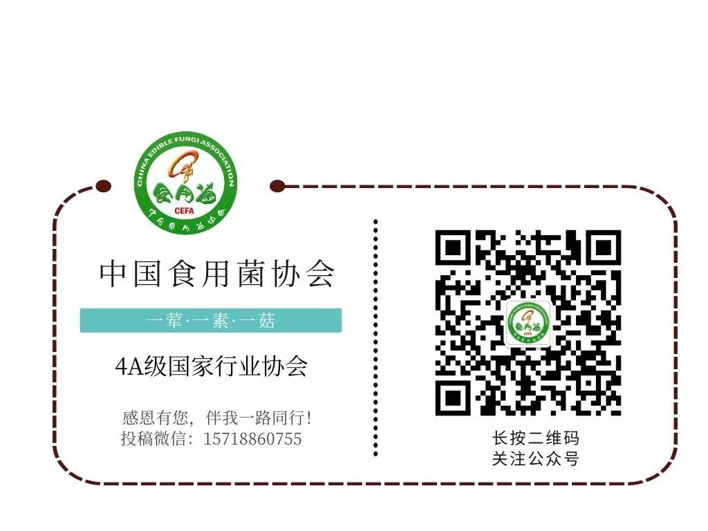辽宁富硒普洱茶加工
